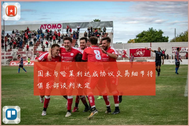 国米与哈莱利达成协议交易细节待俱乐部谈判决定