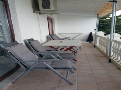 Apartmani Villa Palma Ribarica Cesarica