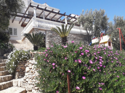 Apartmani villa rosa Vela Luka (Otok Korčula)