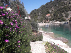 Apartmenthaus villa rosa Vela Luka (Insel Korcula)