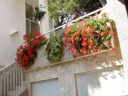 Apartmenthaus Mimosa Vodice